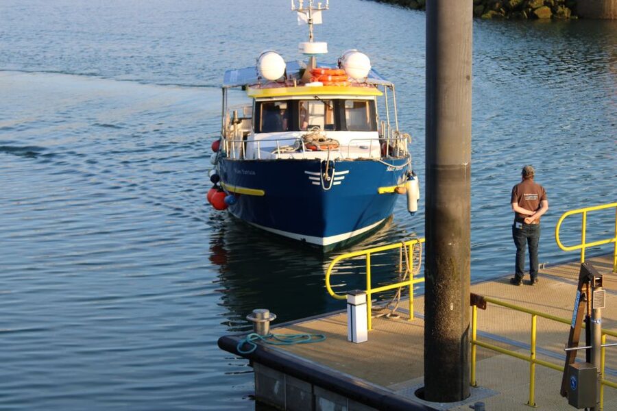 Dublin: Howth Cliffs and Lighthouse Cruise - The West Pier is the right place to begin