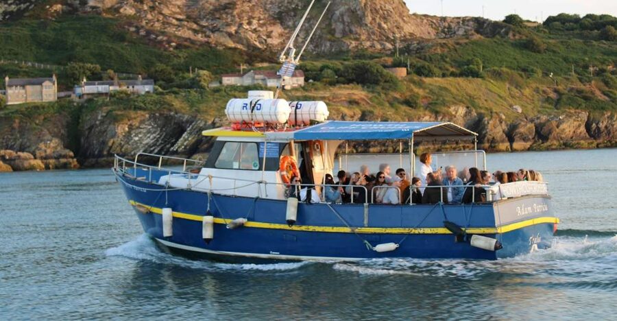 Dublin: Howth Cliffs and Lighthouse Cruise - Comfort, access, and conditions on the water