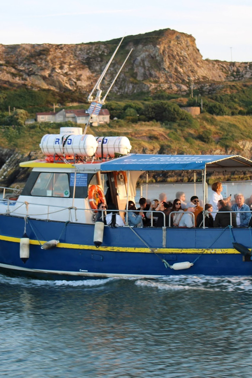 Dublin: Howth Coast and Ireland's Eye Boat Tour - Key Points