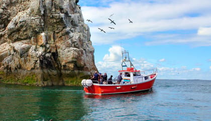 Dublin: Howth Coastal Boat Tour - Key points at a glance