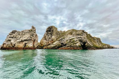 Dublin: Howth Coastal Boat Tour - Should you book it?