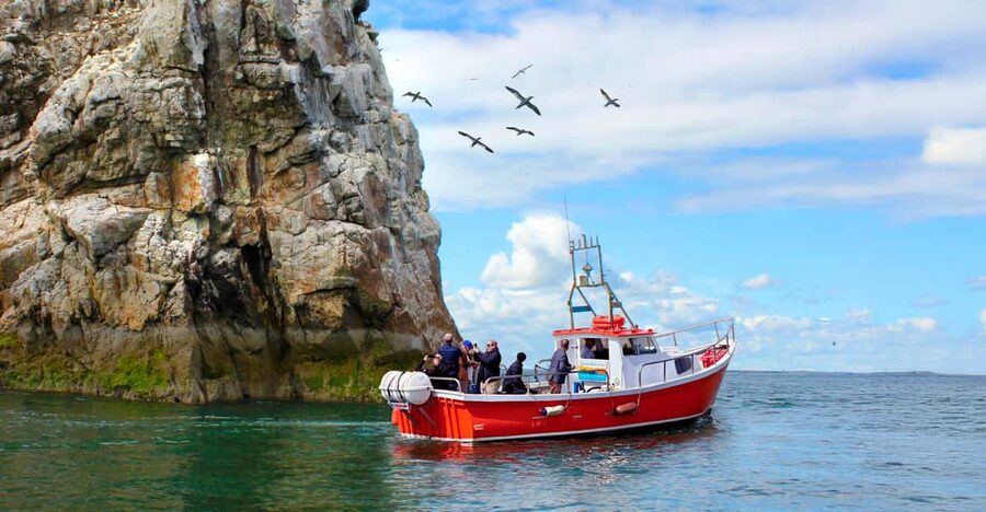 Dublin: Howth Coastal Boat Tour - Ireland’s Eye, cliffs, and coastal caves