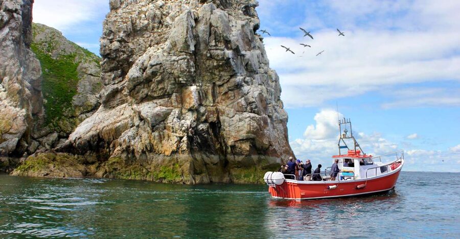 Dublin: Howth Coastal Boat Tour - What the 50-minute schedule really gives you