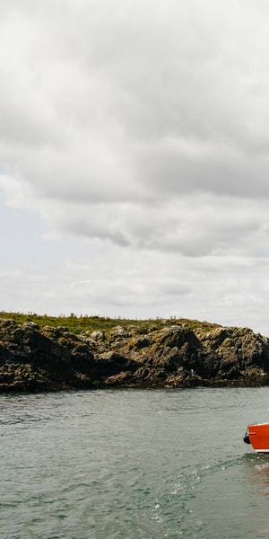 Dublin: Howth Coastal Boat Tour - Who should book this Howth boat tour?