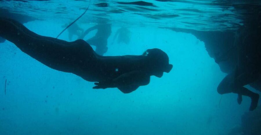 Dubrovnik: Blue Cave & Sunj Beach Boat Tour with Drinks - Key points to know before booking