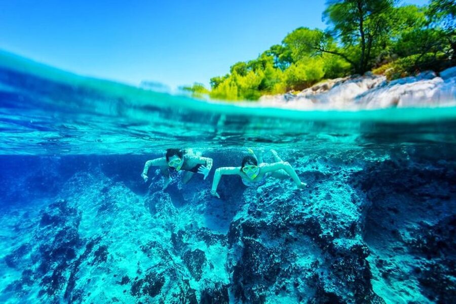 Dubrovnik: Blue Cave & Sunj Beach Boat Tour with Drinks - Who will enjoy this tour most