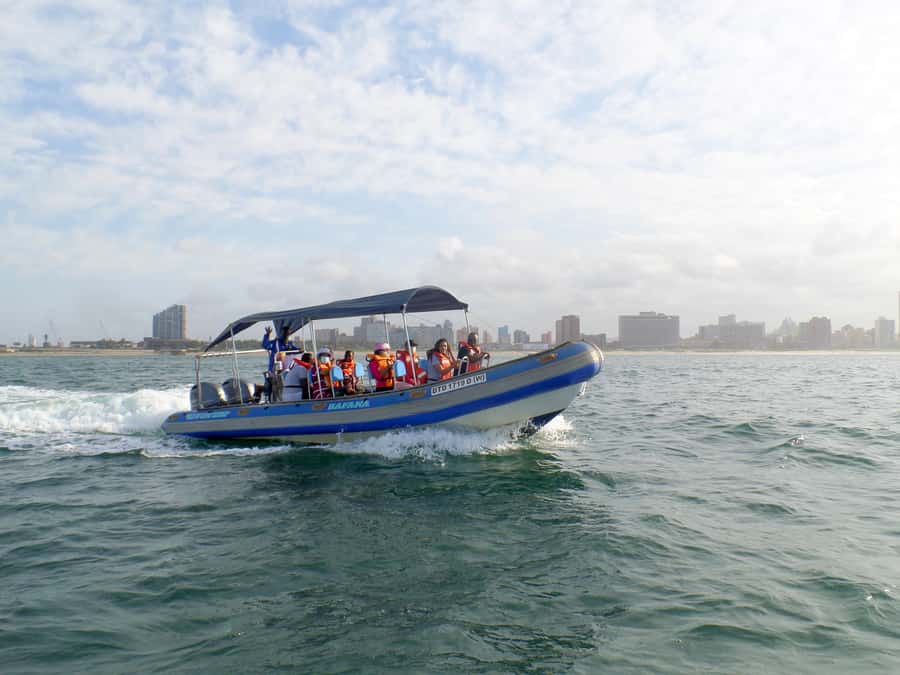 Durban: 1-Hour Boat Cruise from Wilson's Wharf - Who will enjoy this cruise most?