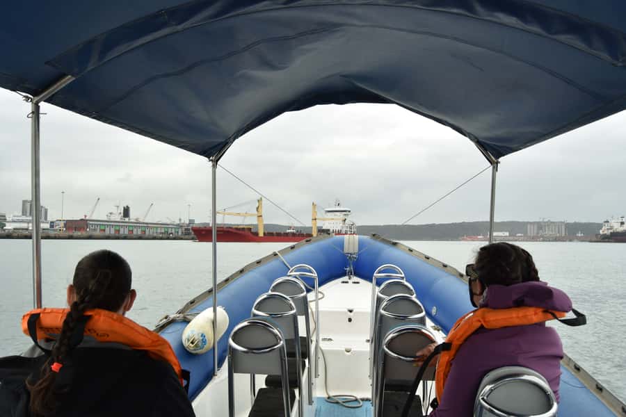 Durban: 1-Hour Boat Cruise from Wilson's Wharf - A one-hour ride with a useful rhythm