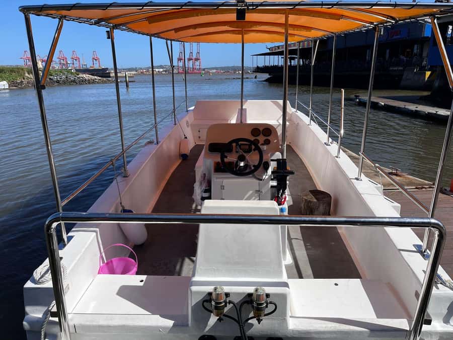Durban: 30-Minute Harbor Boat Cruise - Music, commentary, and the mood onboard