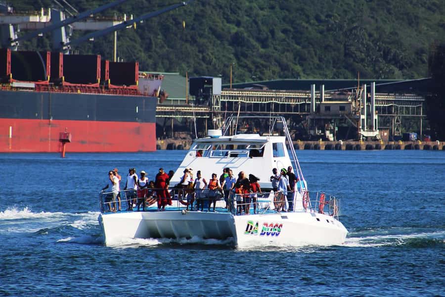 Durban: 30-Minute Harbor Boat Cruise - Birds, skyline views, and weather