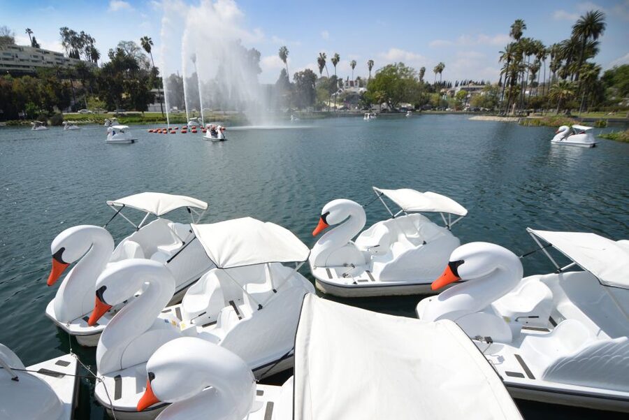 Echo Park Lake: Swan Pedal Boat Rental - Key points at a glance