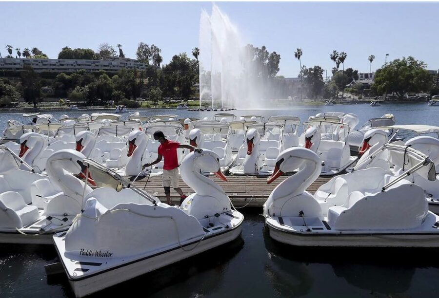 Echo Park Lake: Swan Pedal Boat Rental - Why a swan boat works so well in Los Angeles