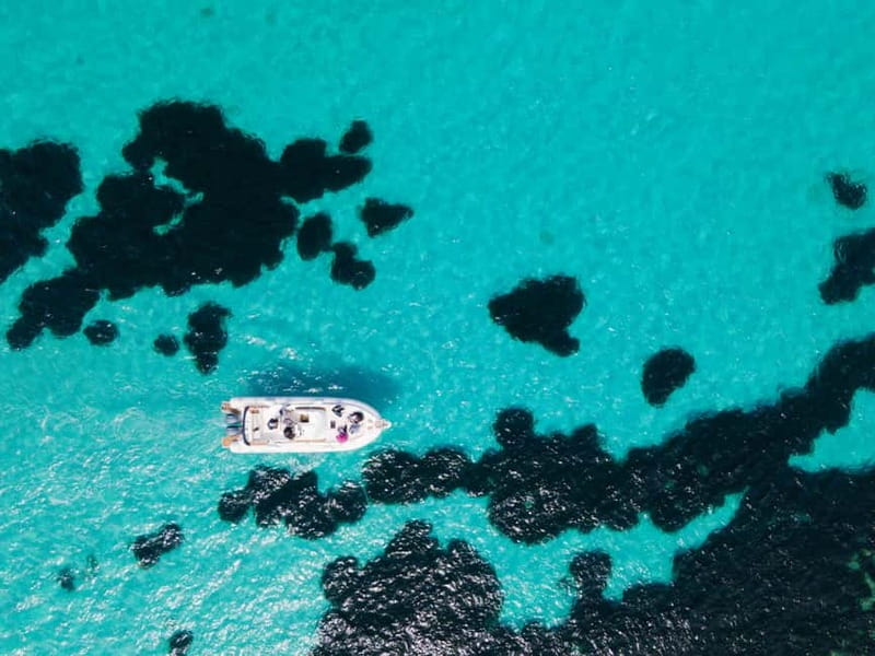 Egadi Boat Experience: Favignana & Levanzo from Trapani - Cala Azzurra, Bue Marino, and Cala Rossa