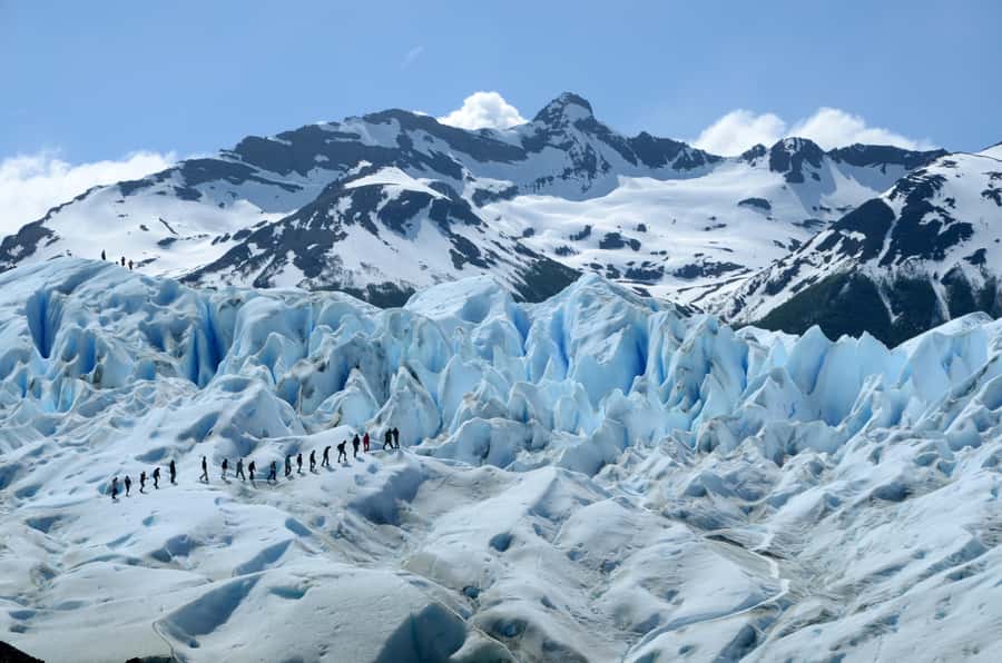 El Calafate: Perito Moreno Glacier Trekking Tour and Cruise - Forest lunch and time to recover