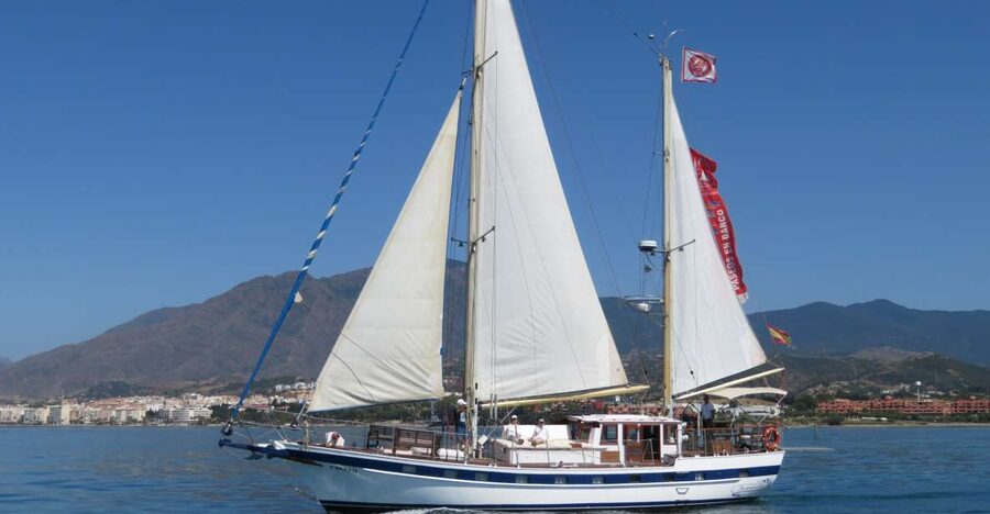 Estepona: Dolphin Watching Sailboat Cruise with Drink - The first hour: coast views and the dolphin search