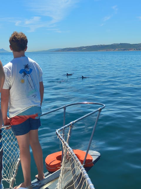Estepona: Dolphins Searching Sea Cruise with Drink & Snacks - Sunset timing and the best feel of the trip