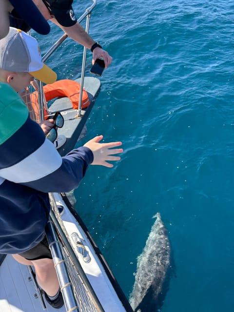 Estepona: Dolphins Searching Sea Cruise with Drink & Snacks - Who will enjoy this cruise most?