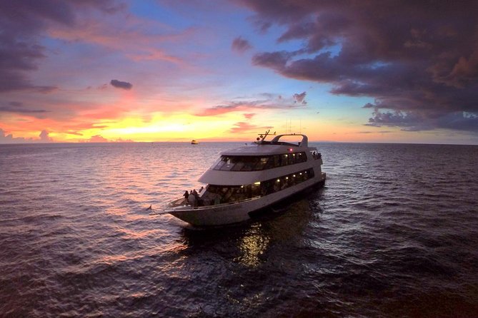 Evening Yacht Cruise with Optional Dining in St. Petersburg - Quick points to know before you book