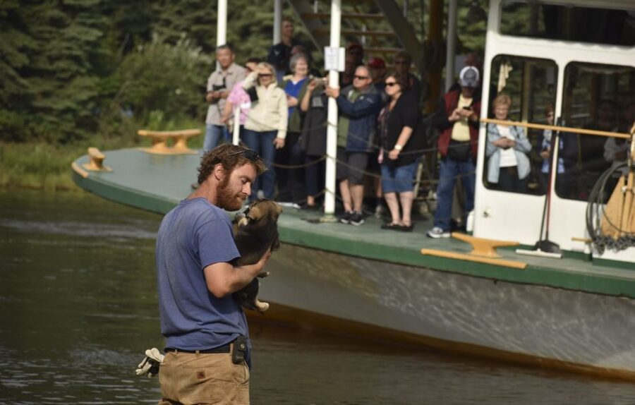 Fairbanks: Riverboat Cruise and Local Village Tour - First Hour: Cruising the Chena River