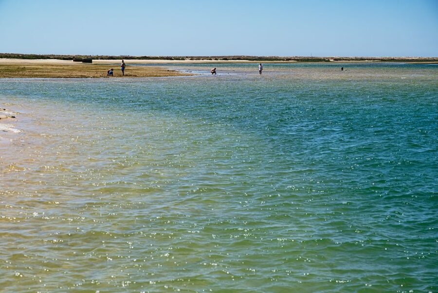 Faro: Deserta Island and Farol Island Catamaran Boat Trip - Who will enjoy this three-hour trip