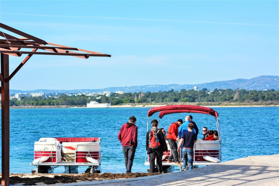 Faro: Ria Formosa Faro Islands Boat Tour - Key points to know before you book