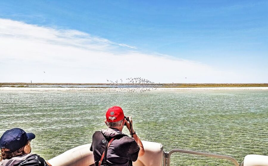 Faro: Ria Formosa Faro Islands Boat Tour - The ride back is part of the experience