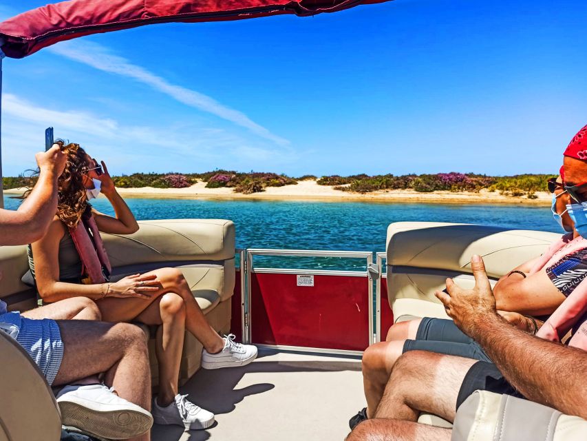 Faro: Ria Formosa Faro Islands Boat Tour - Should you book the Faro island boat tour?