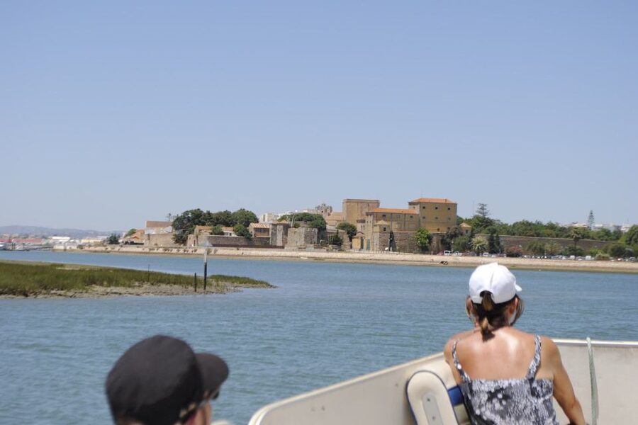 Faro: Ria Formosa Lagoon Small Boat Tour with Local Guide - Why the Ria Formosa is worth seeing by boat