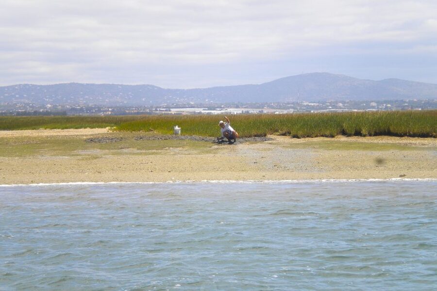 Faro: Ria Formosa Lagoon Small Boat Tour with Local Guide - How much can you really see in one hour?