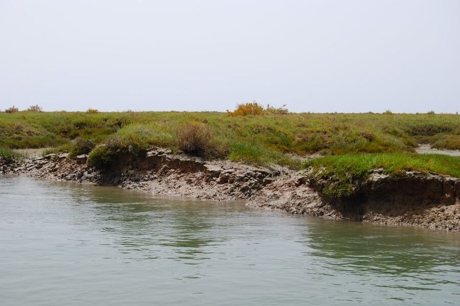 Faro: Ria Formosa Lagoon Small Boat Tour with Local Guide - The guides are a major part of the experience