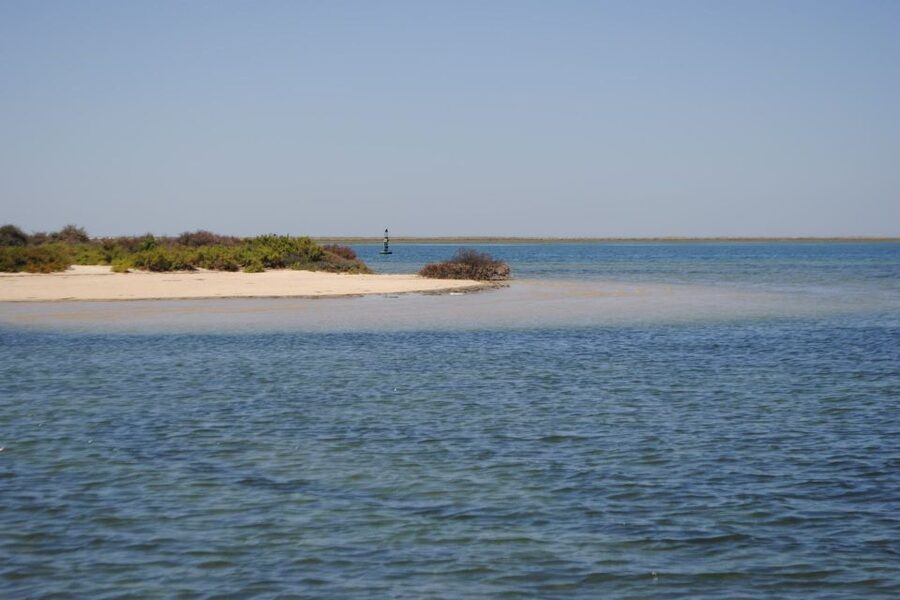 Faro: Ria Formosa Lagoon Small Boat Tour with Local Guide - Is $29 a fair price?
