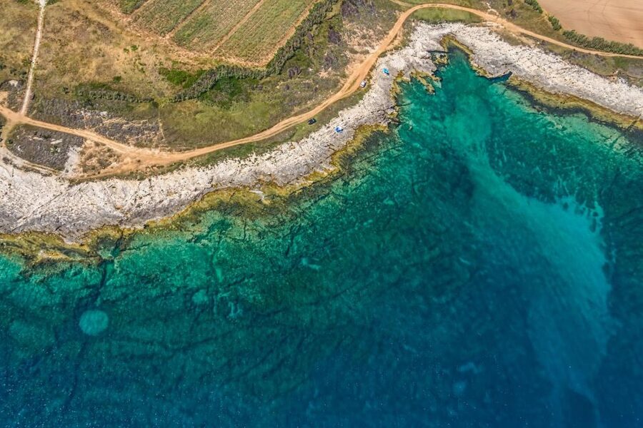 Fazana: Brijuni National Park Scenic Boat Tour & Swimming - Why this Brijuni boat trip works so well