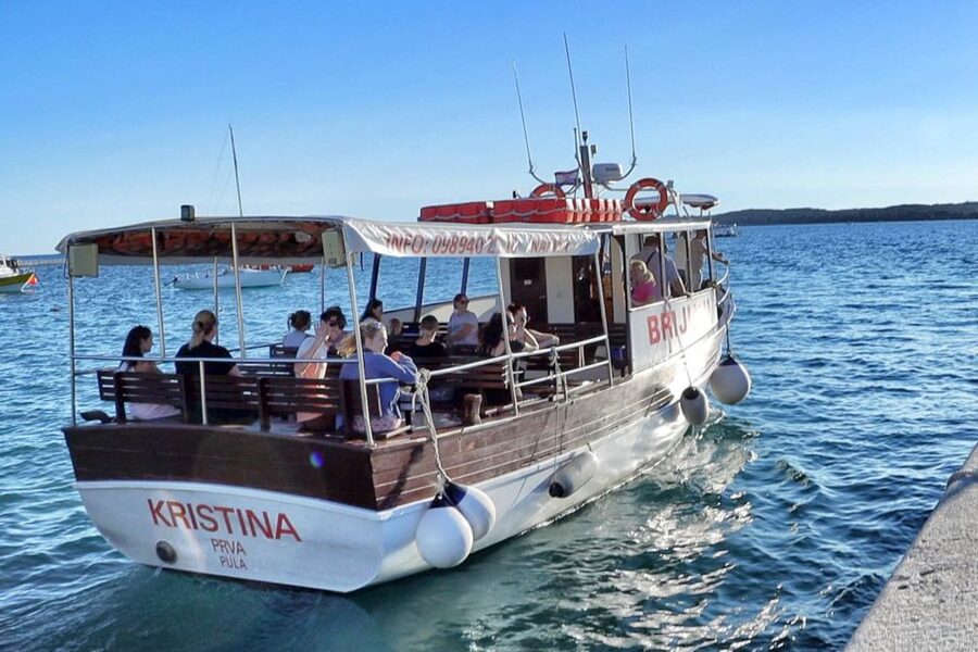 Fazana: Guided Dolphin Watching Sightseeing Cruise at Sunset - Key points to know before you go