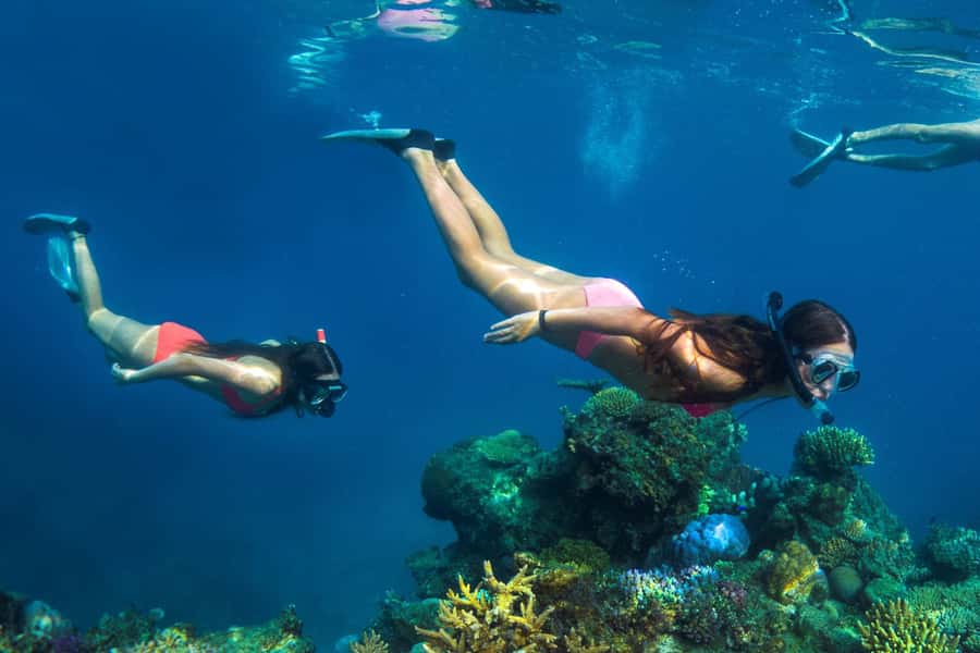 Fiji: Captain Cook Cruises - Island & Reef Day Trip - FAQ