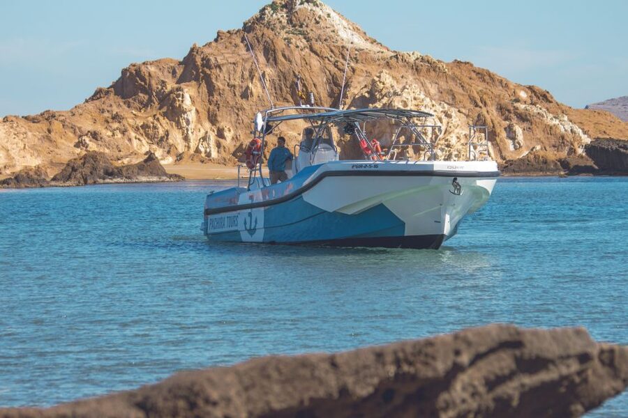 Fornells: 3-Hour Boat Tour Along Menorcan Coast - The westbound route: cliffs, beaches, and marine life