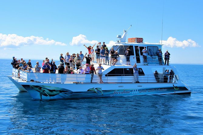 Freedom 3/4 Day Hervey Bay Premium Whale Watching Cruise - Why Platypus Bay Makes a Good Whale-Watching Base