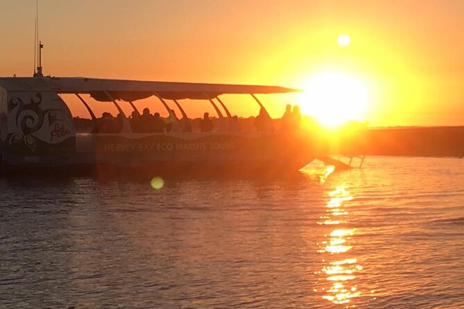 Freedom 3/4 Day Hervey Bay Premium Whale Watching Cruise - What the Meals Add to the Day