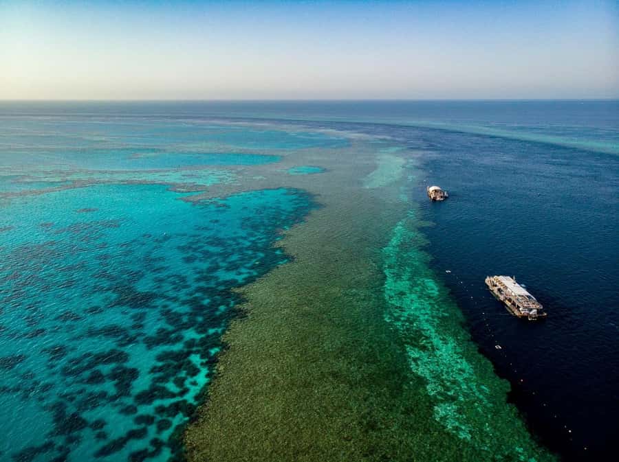 From Airlie Beach: Great Barrier Reef Adventure Cruise - Snorkeling at Hardy Reef
