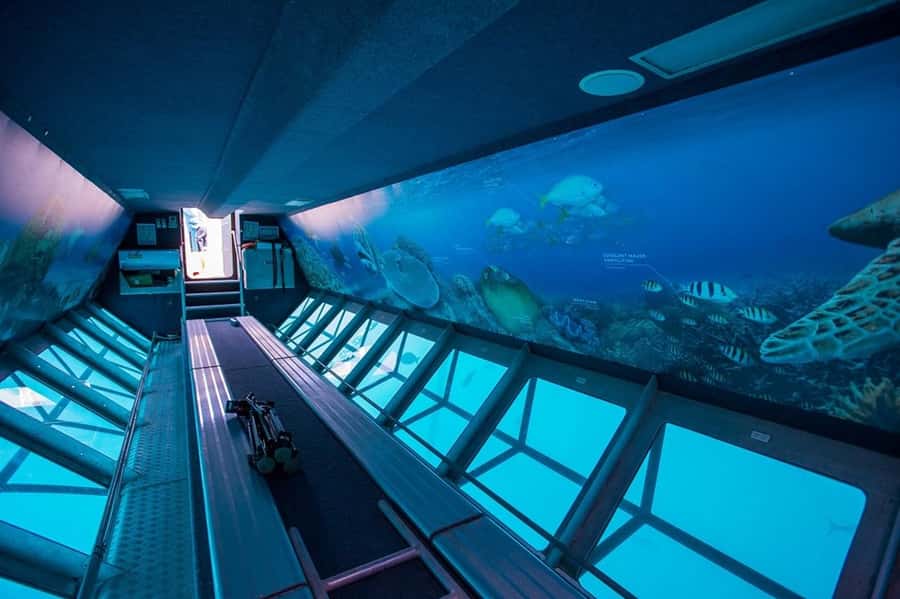 From Airlie Beach: Great Barrier Reef Adventure Cruise - Optional scuba sessions and guided activities
