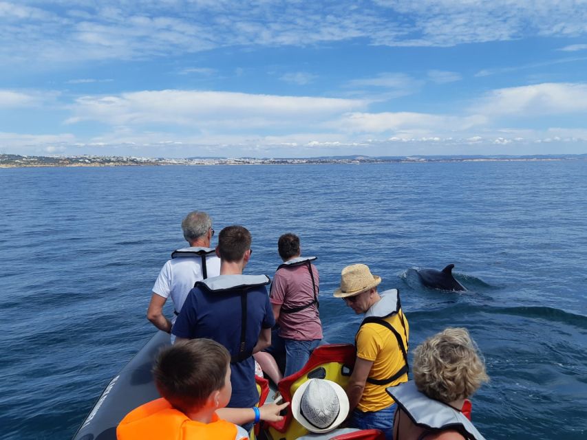 From Albufeira: Benagil Caves and Dolphins Guided Boat Tour - The possible swim stop