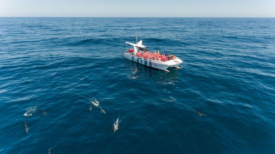 From Albufeira: Dolphins and Caves 2.5-Hour Boat Trip - Leaving Albufeira Marina aboard the Belize Terceiro