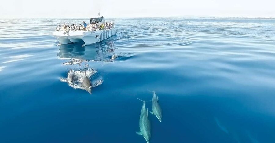 From Albufeira: Dolphins and Caves 2.5-Hour Boat Trip - What the catamaran ride feels like