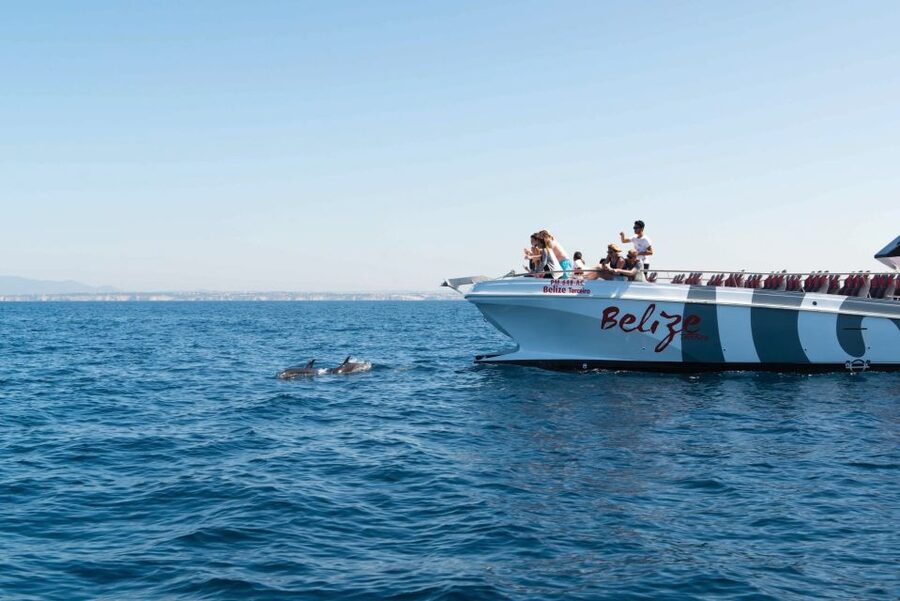 From Albufeira: Dolphins and Caves 2.5-Hour Boat Trip - Guides, languages, and the mood on board