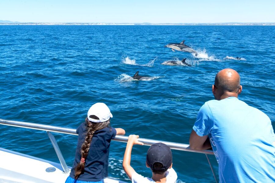 From Albufeira: Dolphins and Caves 2.5-Hour Boat Trip - Choosing your departure and preparing well