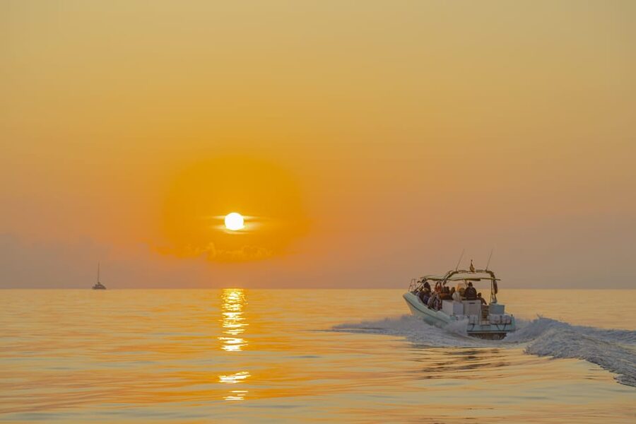 From Alcudia: Sunrise Dolphin Watching Boat Tour - Is $93 a fair price?
