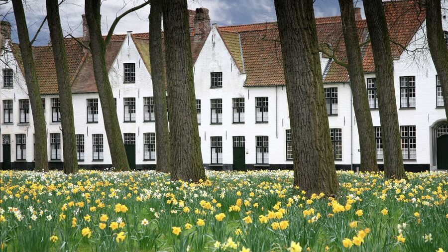 From Amsterdam: Bruges Day Trip in English with Boat Option - Chocolate, lace, beer, and Belgian food