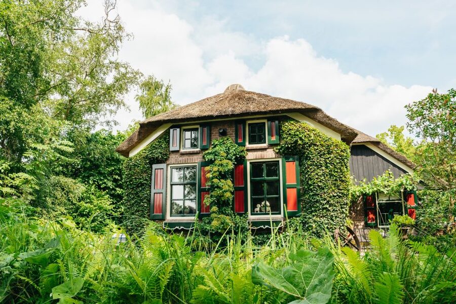 From Amsterdam: Giethoorn & Zaanse Schans Tour w/ Small Boat - Guide quality and group atmosphere