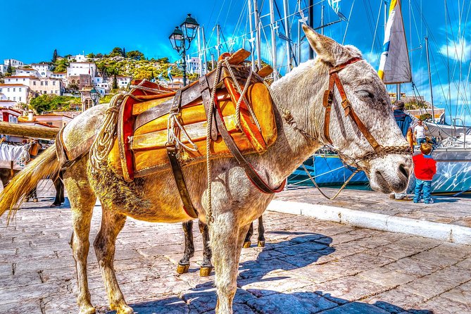 From Athens: Hydra, Poros, and Aegina Day Cruise with Lunch - The ship, the views, and finding a seat