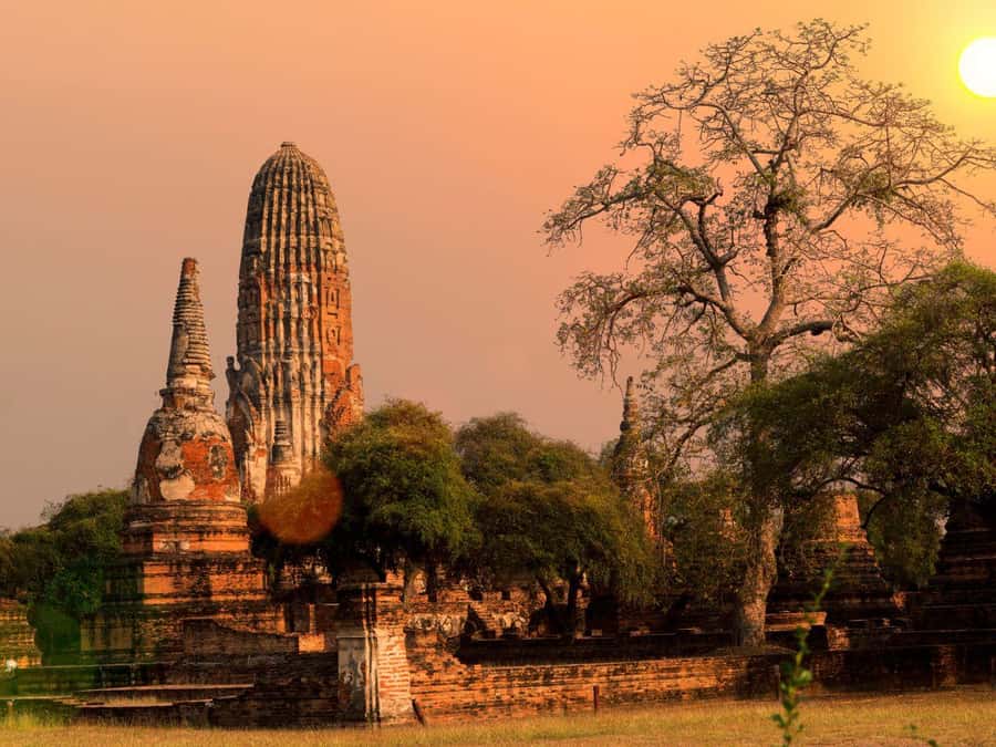 From Bangkok: Ayutthaya Temples and Boat Tour with Lunch - Wat Mahathat and the Buddha head in the tree