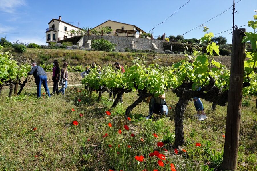 From Barcelona: E-Bike and Sailing Tour with Wine Tastings - What makes Alella worth the ride